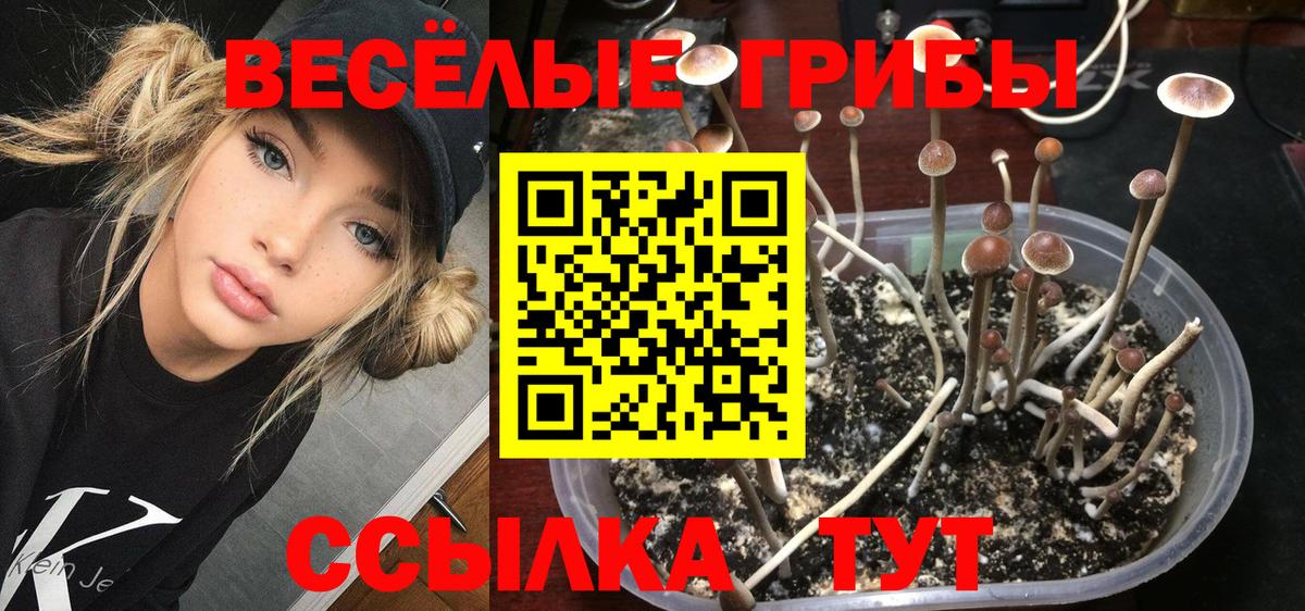 Псилоцибиновые грибы Magic Shrooms  Вход с VPN  Аксай 