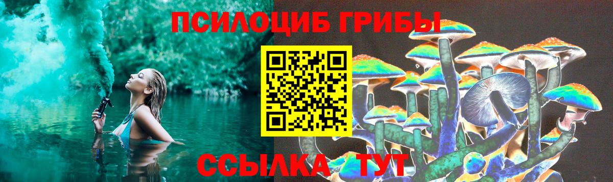 Псилоцибиновые грибы Psilocybe Аксай